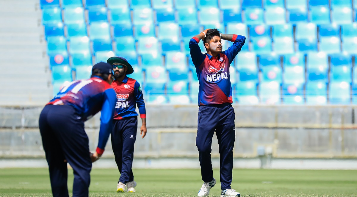 फाइल तस्बिर।